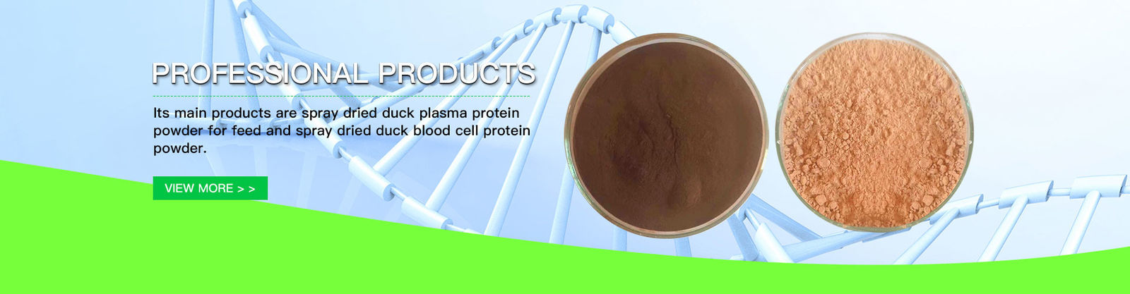 Proteina seccata a spruzzo del plasma