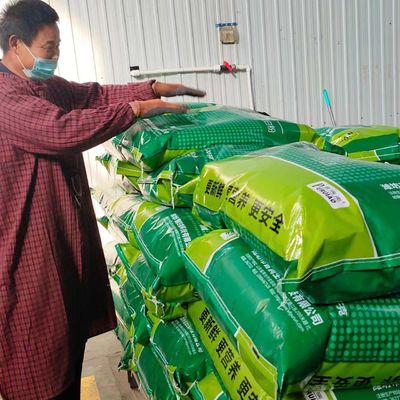 Proteina del bestiame alimentare la farina di sangue seccata a spruzzo della proteina del plasma per pollame