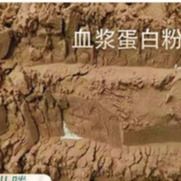 Produttori Duck Plasma Protein Powder seccato a spruzzo, tecnologia della trasformazione avanzata, Hig istantaneo degli additivi alimentari del pollame