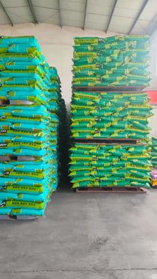 Polvere di proteine plasmatiche essiccate a spruzzo per additivi per mangimi, giallo chiaro, proteine grezze al 70%