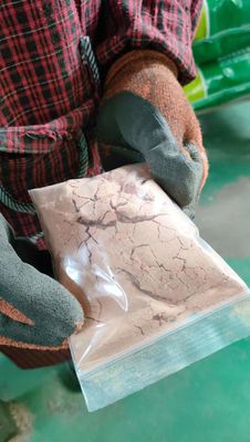 Salmonella non rilevabile Spray Plasma animale essiccato con odore speciale