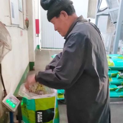 polvere sana della farina di sangue degli additivi alimentari di cibo per cani dell'alimentazione del pollame 30kg